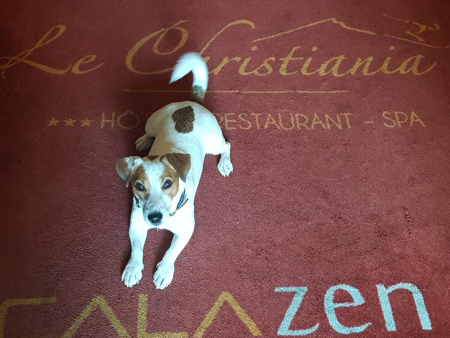 Le Christiania Hotel & Spa La Salle-les-Alpes المظهر الخارجي الصورة
